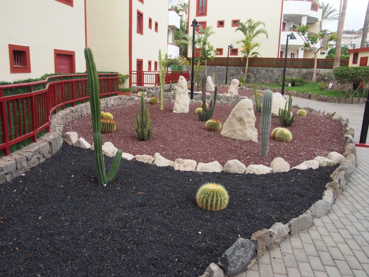 Maravilloso Y Tranquilo Alojamiento En El Palm-Mar Extérieur photo